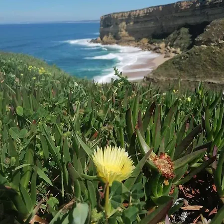 Arrabida Cozy House Ferienhaus