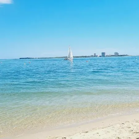 Ferienhaus Arrabida Cozy House Palmela