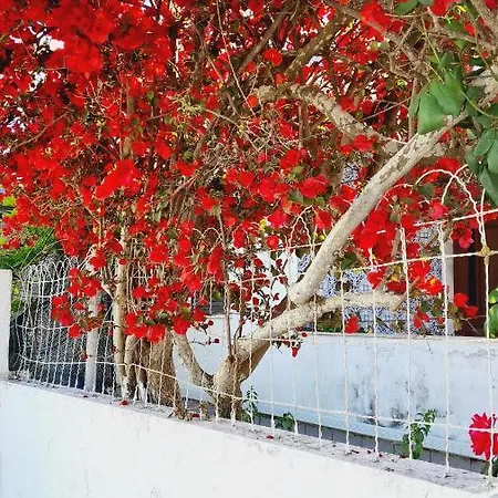 Arrabida Cozy House