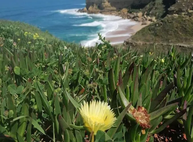 Arrabida Cozy House Дом отдыха