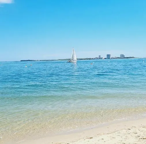 Дом отдыха Arrabida Cozy House Палмела